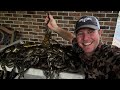 Arkansas barehanded bullfrog hunting catch and cook