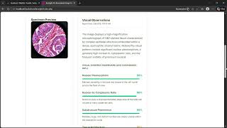 BioSight AI   Biomedical Image Interpreter Research Use and 1 more page   Personal   Microsoft​ Edge