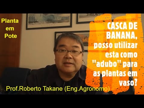 CASCA DE BANANA, posso usar para as plantas no meu vaso? Prof.Roberto Takane (Eng.Agro)
