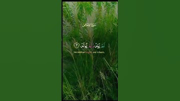 سورة الإخلاص قُلْ هُوَ اللَّهُ أَحَدٌ )