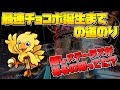 【FF7】ノーマルチョコボを限界まで育成して最強のチョコボと戦ってみた ~ エアリス育成動画の番外編