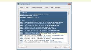 Crear schemas con Oracle SQL Developer