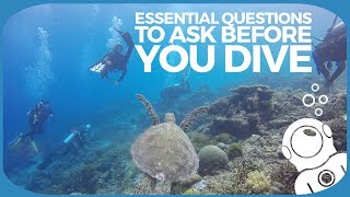 Essential Questions To Ask Before You Dive