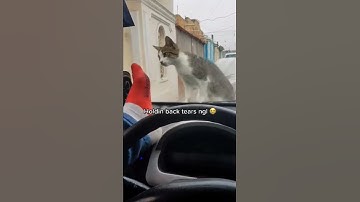 First Stage of Grief : Denial