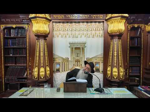 הרב מאיר דוד שמואלי - הלכות שבת שולחן ערוך סימן רס"א