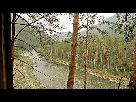Video: The Alei River in the Altai Territory: location, photo, description