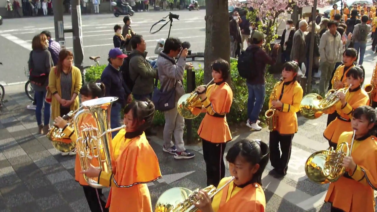 2018.03.25 京都橘高校吹奏楽部　京都さくらパレード2018　パレード（その１）／dji osmo plus 4K撮影