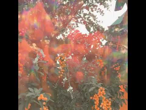 น้ำซึมบ่อทราย - เอก สุระเชษฐ์ | BOWKYLION