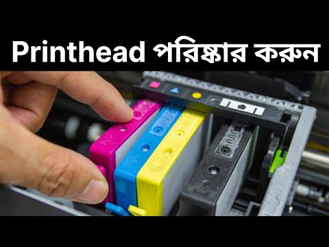 Step-by-Step Process for Cleaning Ink Color Printer Heads with Cleaning ...