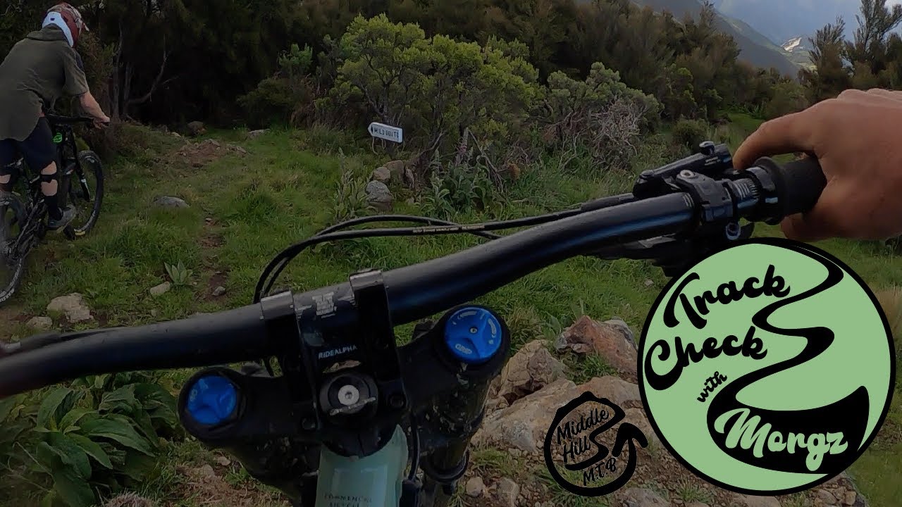 Track Check with Morgz : Wild Goats
