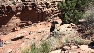 MOAB 2014 Trailer