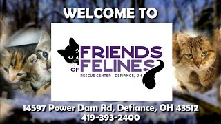 Friends of Felines’ Rescue Center