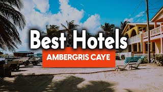 Best Hotels In Ambergris Caye  For Families, Couples, Work Trips, Luxury & Budget