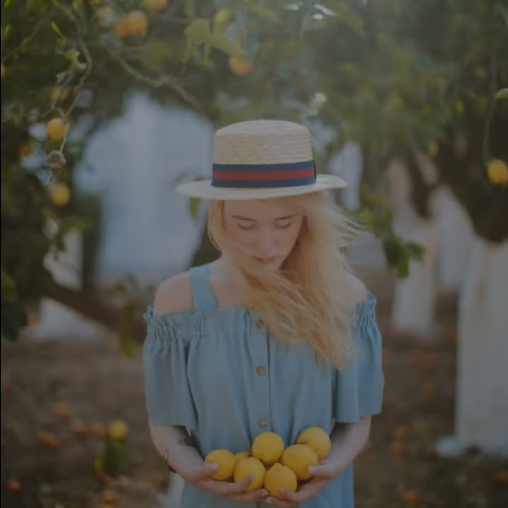 Story wa ,lagu meme  LEMON TREE.