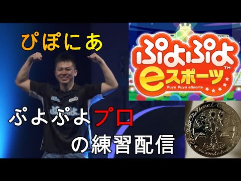 ぷよぷよ　早起きのぷよすぽぼ