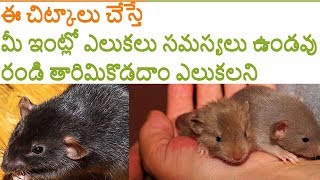 ... thank for watching video and other videos url benefits of onion in
tel...