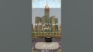 22 Al Hajj  Al Sheikh Ahmed Khedr الشيخ أحمد خضر   سورة الحج  33