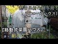 【熱帯果樹用】冬に備えて『移動式菜園ハウス』を組み立てる！【22年夏秋】