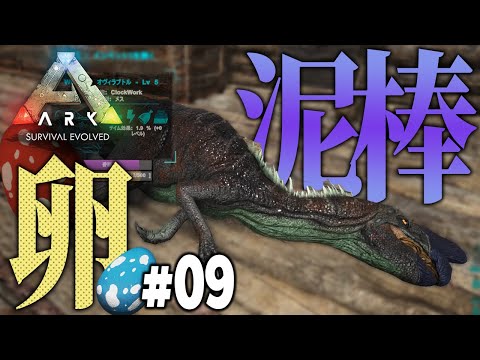 恐竜の卵大好き 卵泥棒 オヴィラプトル君をテイム Ark 009 Youtube