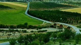 3 Mart 2018 Naqşîdil Yağmur Gurbet Bozkurt Resimi