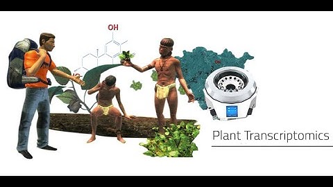 Labster - Plant Transcriptomics Virtual Lab Simulation