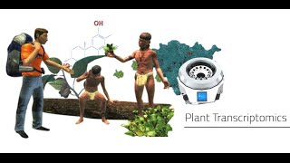 Labster - Plant Transcriptomics Virtual Lab Simulation