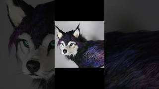 Galaxy wolf artdoll commission. #galaxy #wolf #artdoll #doll #ooak #bjd #artist #poseableartdoll