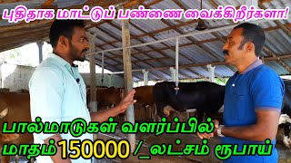 பால் மாடுகள் வளர்ப்பில் தெரிந்து கொள்ள வேண்டியது |Dairy farm|#sgacreation |Tamil |