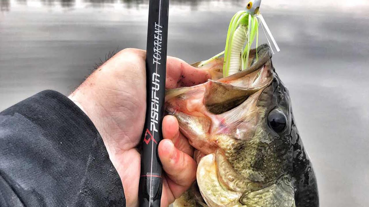 Bass Jig Fishing Tips 2019  Spring Swim Jig for Bass 