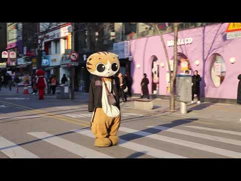 JHKTV] 신촌명물고양이 여기는내구역 shinchon special cat  This is <strong>my</strong> <strong>area</strong>