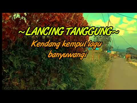 LANCING TANGGUNG - AFIFFAH - KERONCONG BANYUWANGI
