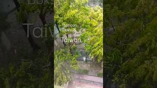 typhoon  Doksuri Lashed kaohsiung taiwan 7/27/23 shortvideo shorts short weather