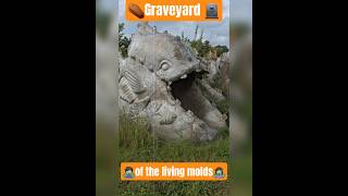 ⚰️🪦Graveyard of the Living Molds 🧟‍♂️🧟‍♀️#fiberglass #molds #fastfiberglass #spartawi #wisconsin