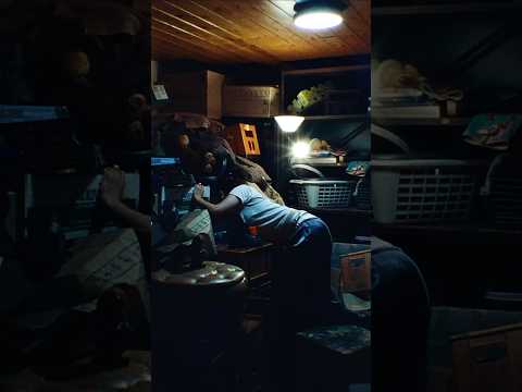 viscus featuring @fkatwigs