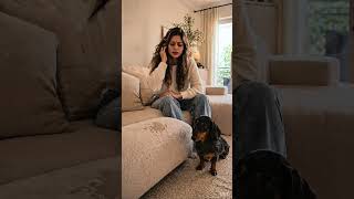 A veces el problema no es que tu salchicha sea “terco”…  #perrosalchicha #teckel #dachshund