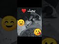 رماني في شبكو بحبك رماني في شبكو بحبك