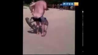 Обезьяны опозорили деда. Обезьяны опозорили деда.