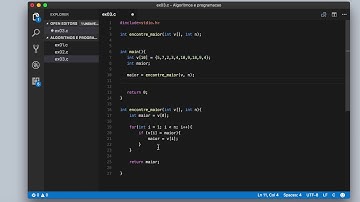 aula04 - função para encontrar o maior elemento do vetor em C