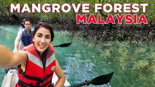 Langkawi Mangrove Tour | Malaysia Travel Vlog (EP 4)