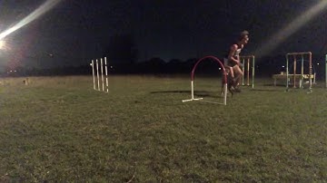 Parker delayed reinforcement