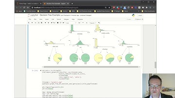Building and Deploying a Decision Tree Machine Learning Algorithm in Under 2 Minutes