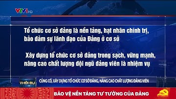 Củng cố, xây dựng tổ chức cơ sở đảng, nâng cao chất lượng đảng viên | VTV24