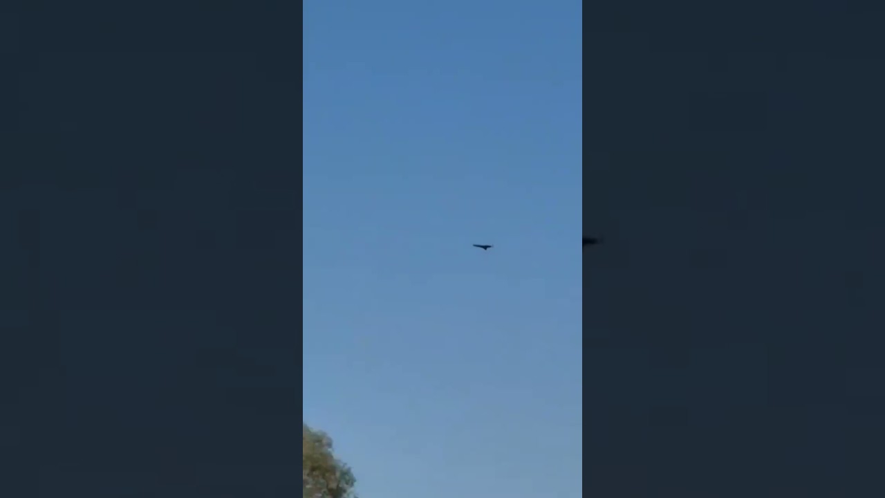 Герань 3 летит не хуже ракеты