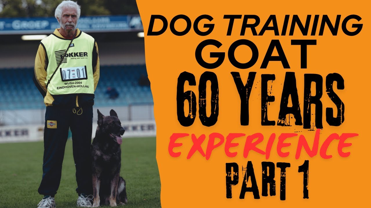 Дрессировщик собак? Посмотрите на это! Хельмут Райзер. Часть 1. Дрессировка немецких собак по про...