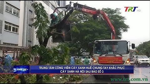 Trung tâm Công viên Cây xanh Huế chung tay khắc phục cây xanh Hà Nội sau bão số 3