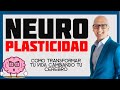 Neuroplasticidad: Cómo transformar tu vida cambiando tu cerebro