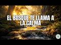 432 Hz ✨ Bosque Mágico y Sonidos Naturales | Relajación, Paz Interior y Energía Positiva