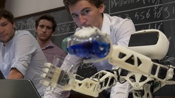 TeaserPoppyTorsoEtConcours