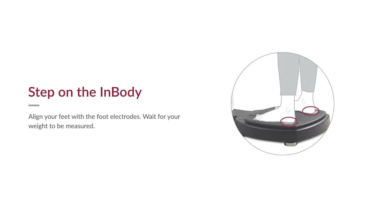 InBody 570 Body Composition Analyzer - InBodyCanada