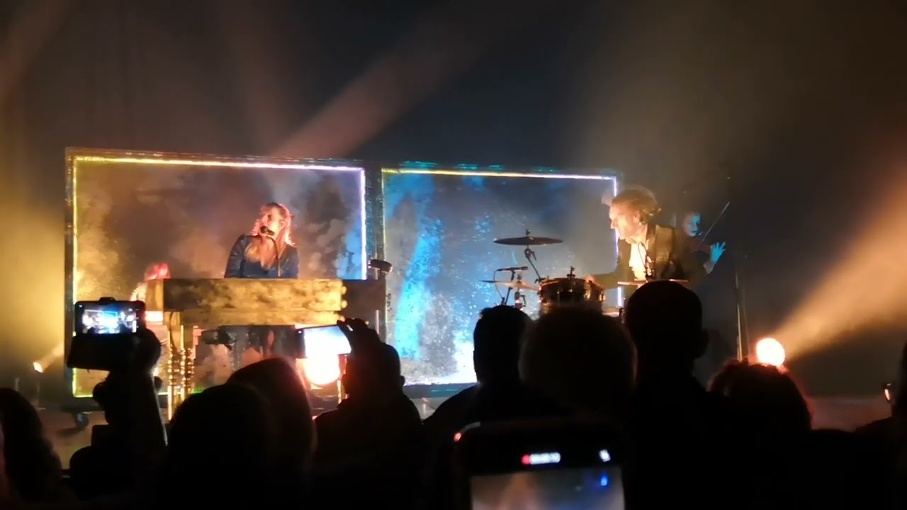 Cats on Trees Sirens Call YouTube